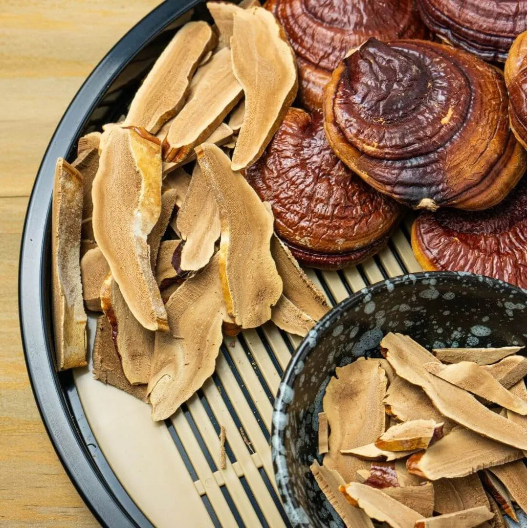 Gyógygomba kivonatok