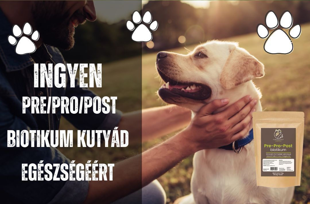 Segíts kedvencednek természetesen! – Ingyen Pre/Pro/Postbiotikum kutyád egészségéért