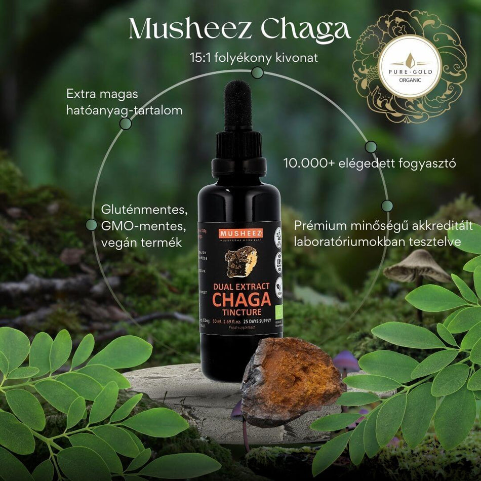 MUSHEEZ BIO Chaga Extra erős 15:1 folyékony kivonat 100 ml