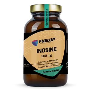 Fuel Up Inozin 500 mg
